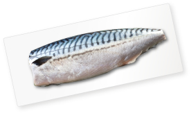 魚台紙